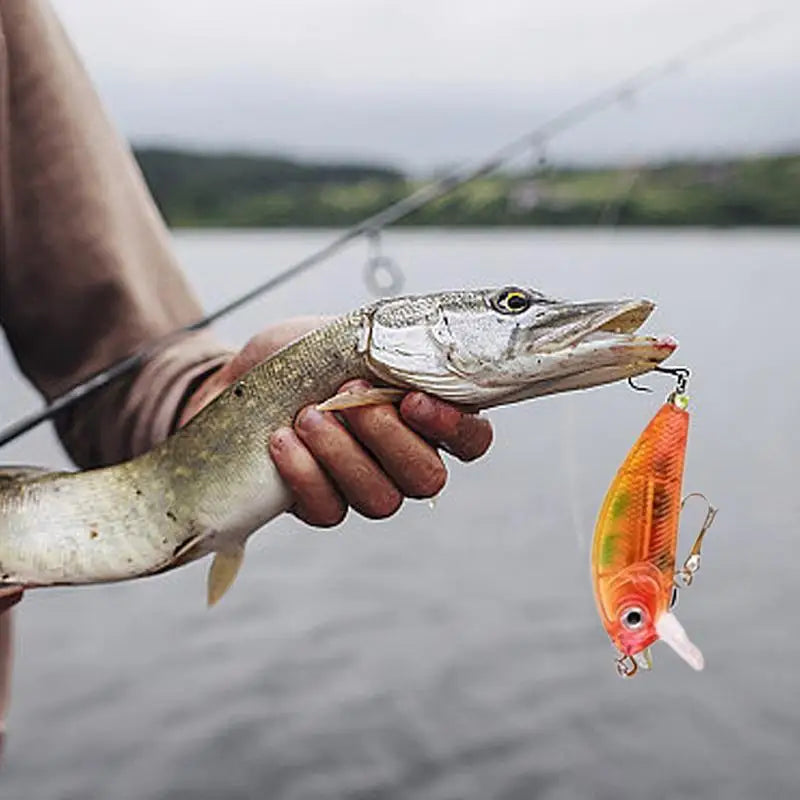 Fishing Calendar